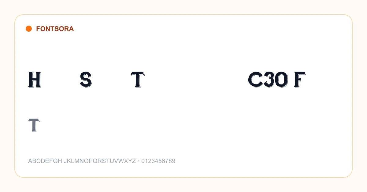 Hand Shop Typography C30 Font font preview